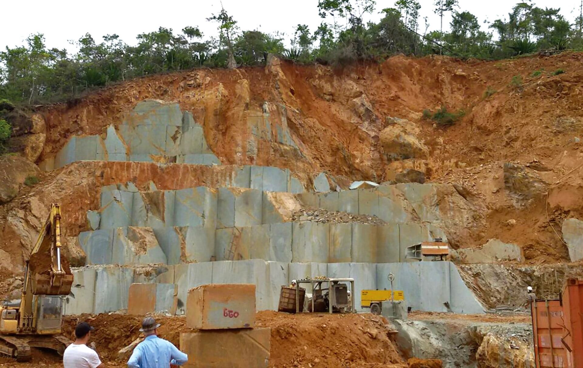 Quarry face with excavators, forest above
