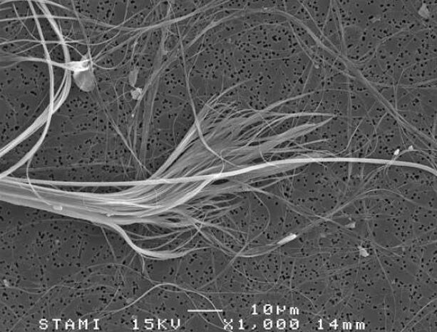 Scanning electron microscope image: fibrous minerals, as found in asbestos (1,000x magnification)